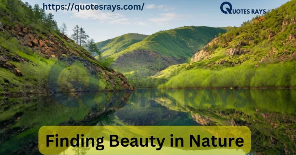 Finding Beauty in Nature