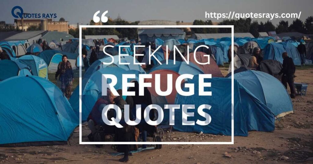 Seeking Refuge Quotes