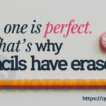 No One Is Perfect Quotes