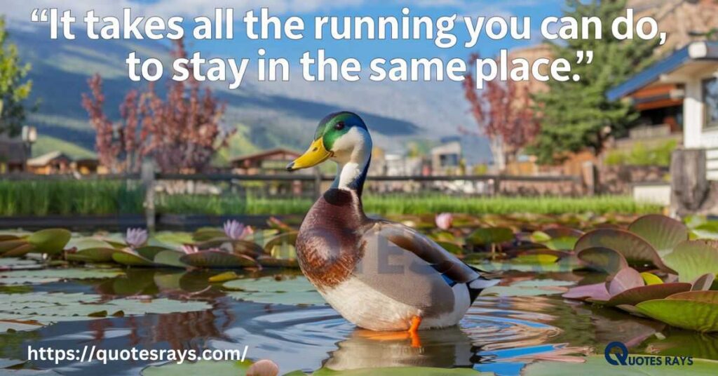 Famous Duck Quotes