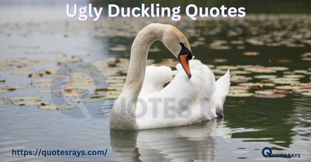 Ugly Duckling Quotes