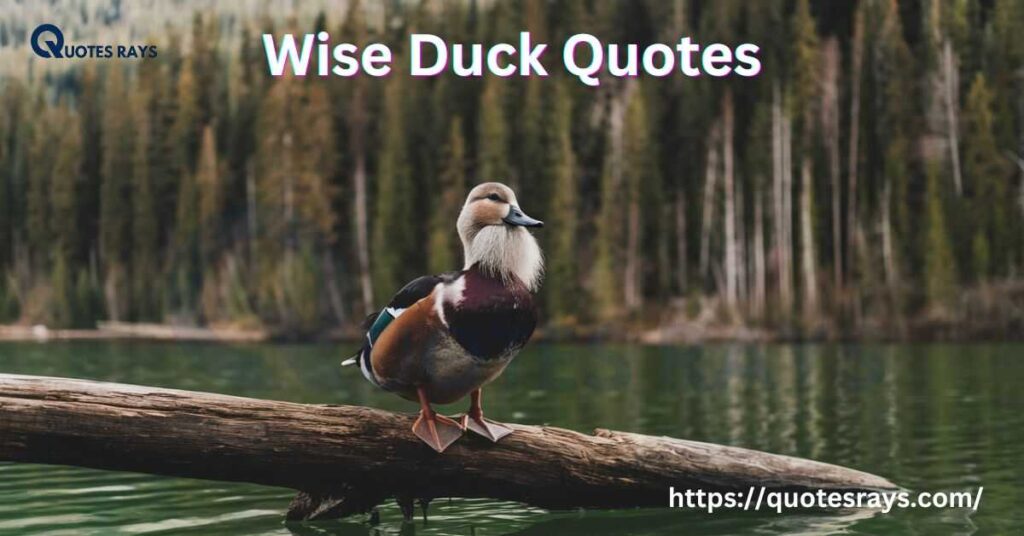 Wise Duck Quotes