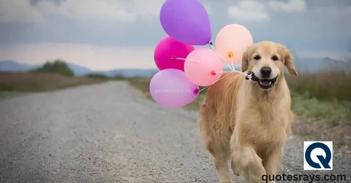 Fur-ever Young: Birthday Wishes for Your Dog